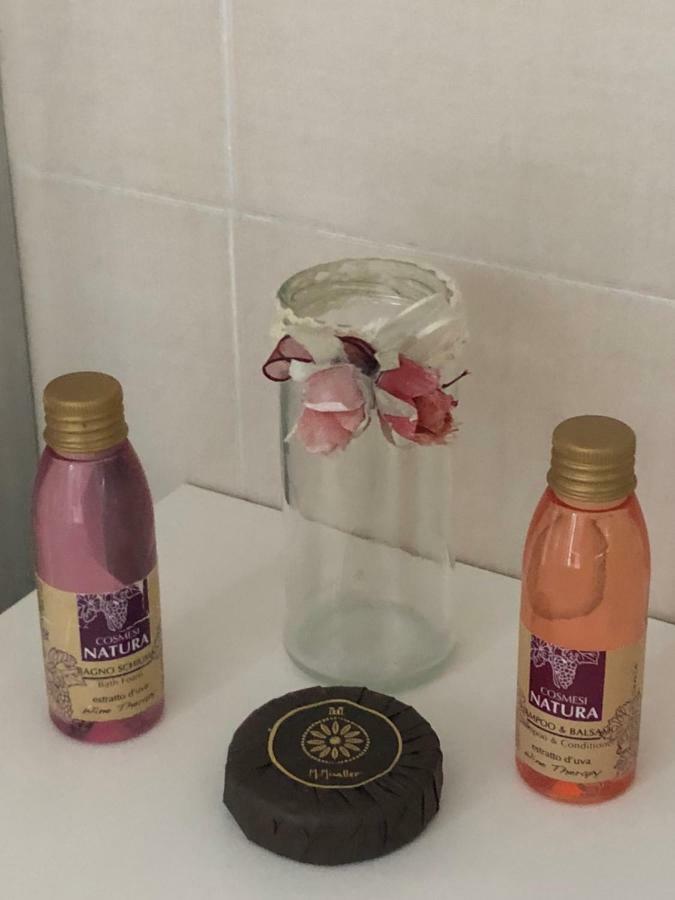 Luxy Vatican Apartment ローマ エクステリア 写真